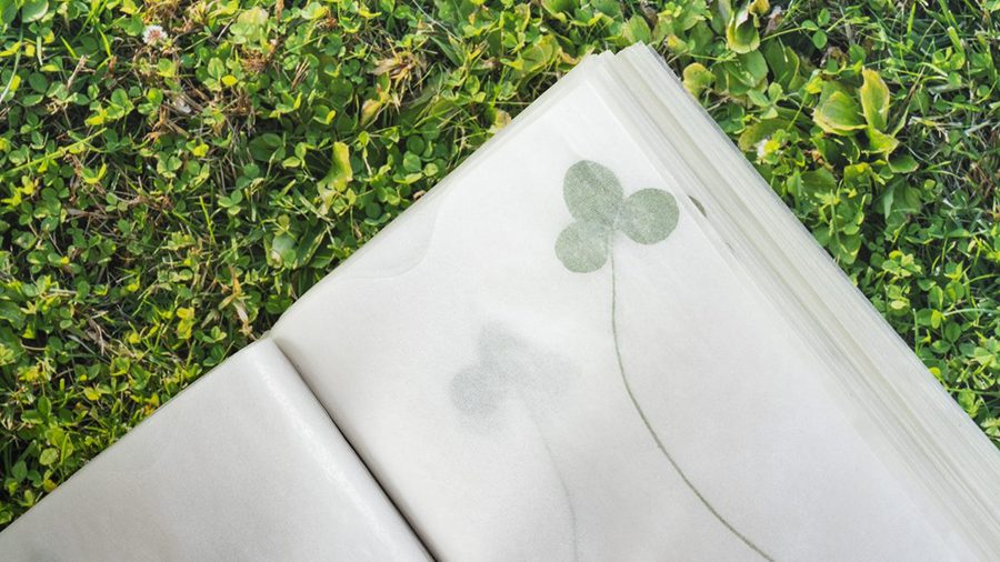Codex of Clovers (2019). Glue bound glassine envelopes with individual pressed clovers, 4” x 5”.