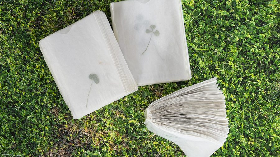 Uehlein_CodexofClover_9 Codex of Clovers (2019). Glue bound glassine envelopes with individual pressed clovers, 4” x 5”.