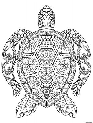 coloring pages  colornumber  october 2020  the