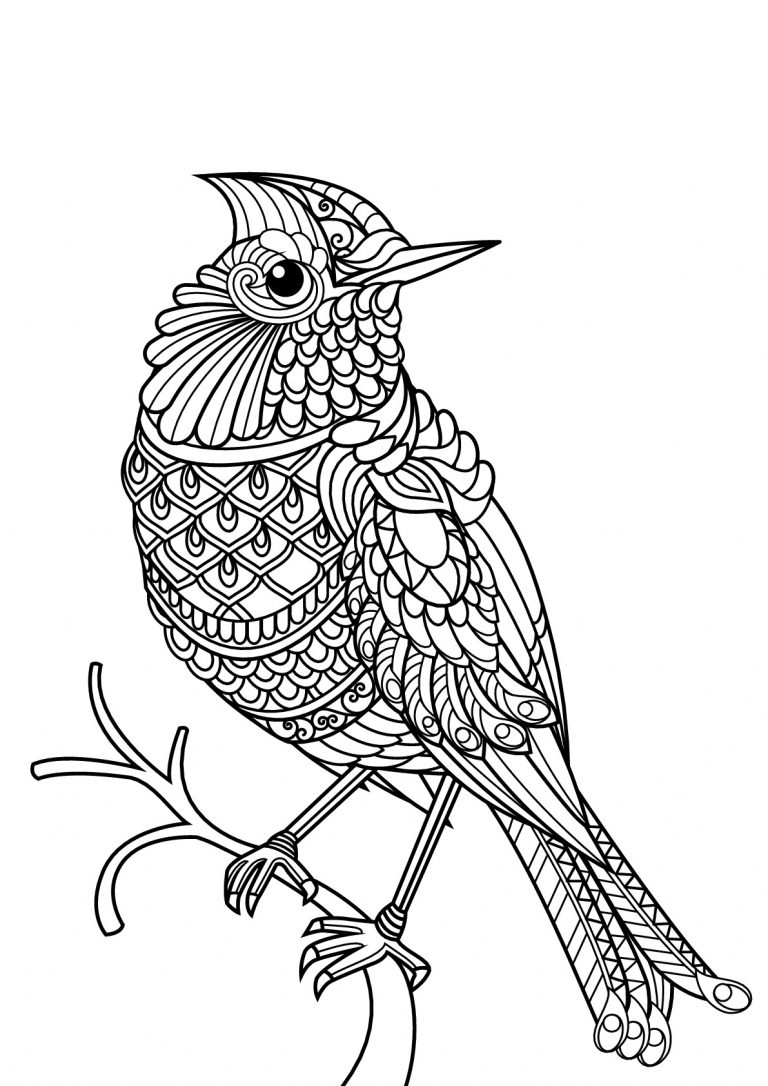 Coloring Pages, February 2021 | The William Benton Museum of Art