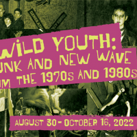 Cover image for "Wild Youth: Punk and New Wave from the 1970s and 1980s"