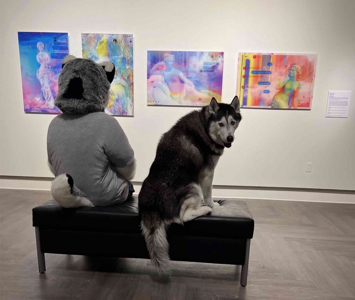 Jonathan the Husky in the art museum